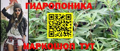 гидра Будённовск