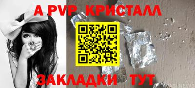 гидра Будённовск
