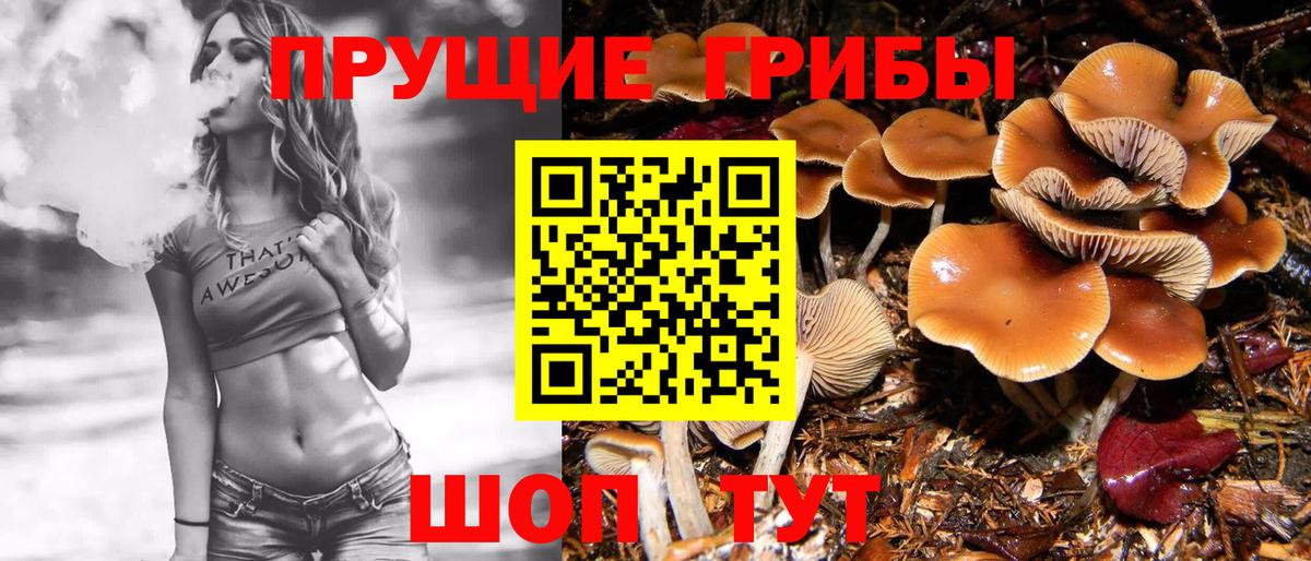 Галлюциногенные грибы GOLDEN TEACHER Можга
